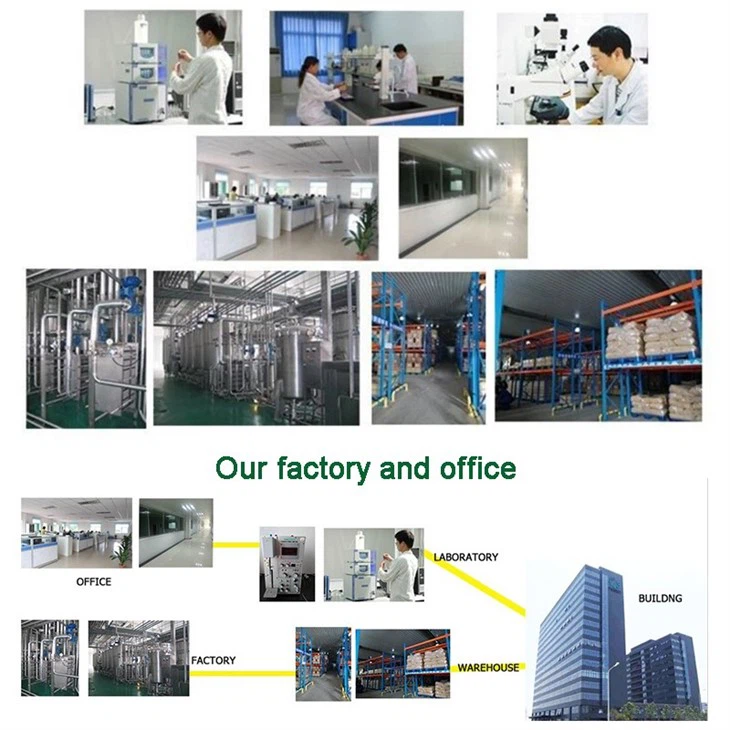 Blackberry Juice Powder factory
